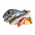 Рыба и Морепродукты